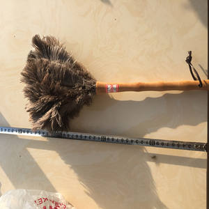 Nouveau design <span class=keywords><strong>meilleur</strong></span> <span class=keywords><strong>prix</strong></span> plumeau d'autruche - Product Image 3