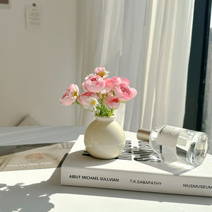 Jarrón de Cerámica Clásico, Venta Caliente 2024, Jarrón Decorativo Moderno para el Hogar, Jarrón Redondo Pequeño y Sencillo para Flores - Product Image 5
