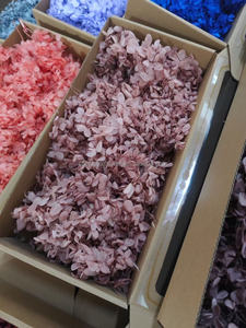 <span class=keywords><strong>Fleurs</strong></span> naturelles <span class=keywords><strong>stabilisées</strong></span> Corsage fleur vrais pétales <span class=keywords><strong>Bouquet</strong></span> boîte florale stabilisé hortensia bricolage Arrangement - Product Image 4