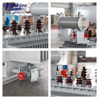 SinoShine 1600KVA Üç Fazlı Yağlı Tip Güç Trafosu 20KV/0.4KV S20 Bakır Sargılı Yüksek Verimli Tamamen Sızdırmaz