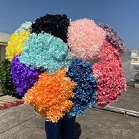 Fleurs préservées de haute qualité en gros, Hortensia à grandes feuilles blanc pur Anna pour la décoration de mariage, de maison et de fête