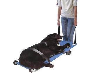 Mtas1 Huisdieren Brancard Voor Dierenziekenhuis - Product Image 2