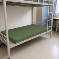 Matelas médical pour prison et hôpital, en mousse haute densité, imperméable et ignifuge, personnalisable, prix de gros direct usine