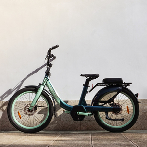 Bicicleta Eléctrica Urbana Económica de 24 Pulgadas, 250W, Batería de Litio de 15AH, Motor sin Escobillas, con Asistencia al Pedaleo, Pundarika, Precio Económico - Product Image 3