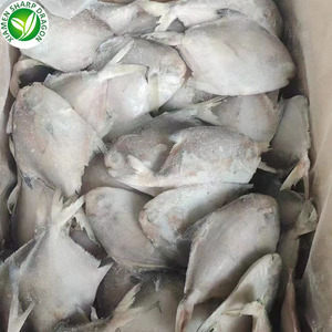 Mùa mới 100 120 hải sản đông lạnh pomfret Trắng - Product Image 6