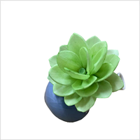 4.5cm 6cm Parfum Coloré Reed Diffuseur Fleur Bâton À La Main Sola Bois Fleur