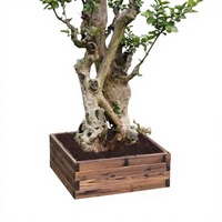Vente en gros de jardinières en bois de sapin chinois de formes variées, personnalisées, classiques, pour plantes et fleurs