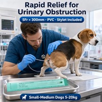 Cathéter vétérinaire pour chien avec fil-guide stérile