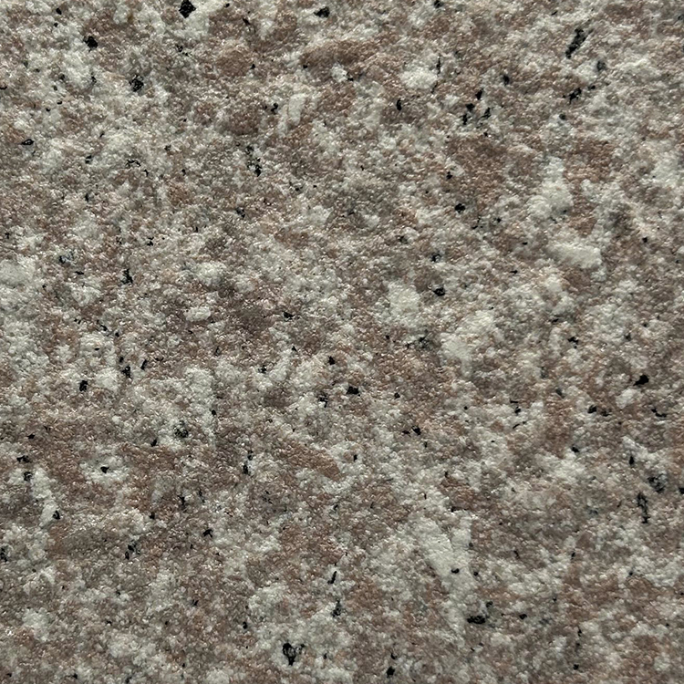 CR-CS202407