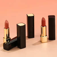 Rouge à lèvres mat vegan sans cruauté, imperméable, de marque privée, tube à poussoir de luxe, 14 teintes, rouge à lèvres solide, formule minérale