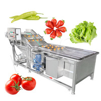 Roterende Multifunctionele Groenten Aardappelwasmachine Groentefruit Industrieel Wassen En Schilmachine Aardappel