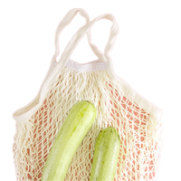 Fruitgroente Boodschappentas Netto Gaaszak