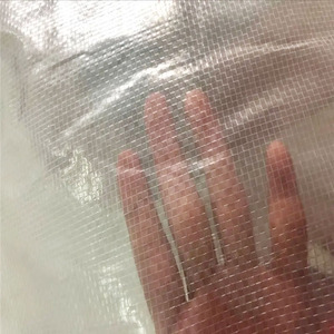 Bâche <span class=keywords><strong>agricole</strong></span> en PE renforcée sur mesure pour la protection des raisins et des cerises contre la pluie dans les vergers - Product Image 2