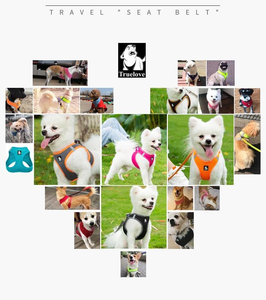 Set Harness dan Tali Anjing Kucing Truelove Wholesale, Mewah, Ringan, Berbahan Jaring Reflektif, Dapat Disesuaikan untuk Kucing dan Anjing Kecil hingga Sedang, untuk Berjalan - Product Image 5