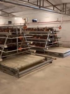 En çok satan 4 katlı 4 kapılar 128 kuşlar kapasiteli galvanizli Q235 çelik tel yumurta katmanlar tavuk kafesleri için kanatlı ev kullanılan örgü - Product Image 5