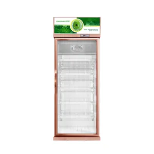 Supermarket Fridge 1 Door Display Cooler Refrigeration Equipment