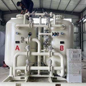 אספקת מפעל קטן PSA מחולל חנקן מפעל גז N2 עבור חנקן מחיר טוב - Product Image 6