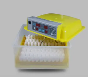 Mini incubadora automática de 24 huevos de gallina, codorniz, pato, buena calidad
