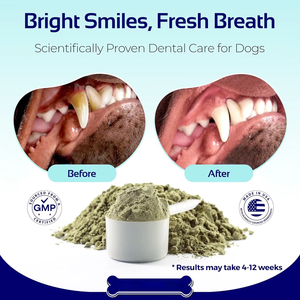 Poudre dentifrice pour chiens et chats pour l'hygiène buccale, élimine la mauvaise haleine, élimine le tartre et la plaque dentaire, soutien immunitaire, enrichi en vitamines - Product Image 3