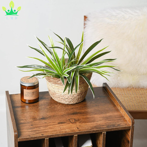 <strong>Artificial</strong> <strong>Spider</strong> <strong>Plant</strong> Greenery Realistic Chlorophytum <strong>Plants</strong> Indoor Home Shelf Office Decoration Faux Curly <strong>Spider</strong> <strong>Plants</strong> - Product Image 5