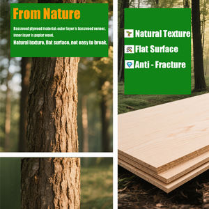 <span class=keywords><strong>Compensato</strong></span> completo di alta qualità 18 <span class=keywords><strong>mm</strong></span> 3mm sottile fogli di <span class=keywords><strong>compensato</strong></span> di betulla dai prezzi dalla cina - Product Image 6