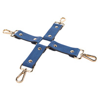 Kit de bondage en cuir PU bleu classique et populaire, 5 pièces, pour la passion BDSM