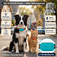 Traceur GPS 4G GSM OEM pour animaux de compagnie, en plastique, pour la santé des chiens, anti-perte, suivi à distance en temps réel via APP, accepte la personnalisation