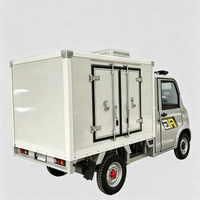 Mini camionnette électrique à quatre roues avec 2 sièges, camion frigorifique à basse vitesse pour le transport en chaîne du froid