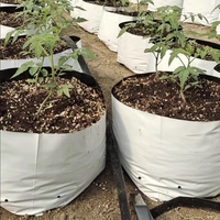 PE Plastic kweekzakjes met ademende gaten, verdikte, doorlatende kweekzakken voor tuin, fruit, zaailingen, kweek en verplanting.
