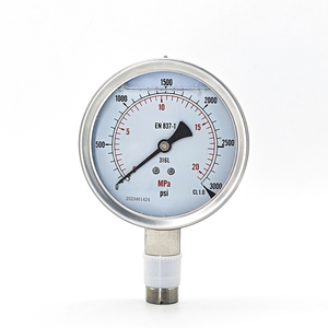 Manómetro de Acero Inoxidable de Alta Calidad de 100 mm (4 Pulgadas), Lleno de Aceite, Modelo Y-60, Marca Wika - Product Image 5