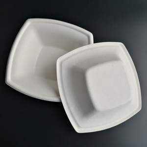 Carré de Bagasse De Canne À Sucre Jetable Biodégradable Bol - Product Image 6