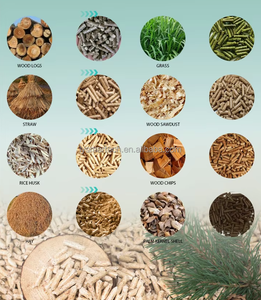 <span class=keywords><strong>Máquina</strong></span> Peletizadora Industrial de Anillo de Aserrín <span class=keywords><strong>para</strong></span> Combustible de Biomasa - Product Image 6