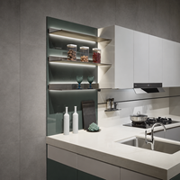 Ensemble d'armoires de cuisine modernes haut de gamme, finition vert sauge mat avec comptoir en quartz blanc et éclairage LED, conception gratuite pour la maison