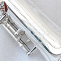 High Quality Professional Sopranino Saxophone Gold Lacquer Saxophone Sopranino