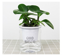 Clair Intérieur Paresseux Automatique Pots D'eau En Plastique Pot De Fleur Décoratif Pot De Plante Auto Arrosage Planteur