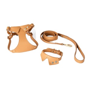 Correa y Arnés de Cuero de Alta Calidad Personalizados para Perros y Gatos, Estilo Lazo, con Diamantes de Imitación para Gatos y Perros Pequeños - Product Image 1