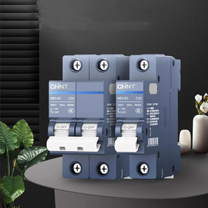 مفتاح الهواء المفتوح العام 2P لحماية الدائرة القصيرة Chint NB3 المصغر 63A 1P للاستخدام المنزلي - Product Image 5