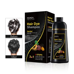 Vente en gros 3 en 1 shampooing de coloration capillaire permanent à base de plantes gris brun foncé shampooing de teinture capillaire noir