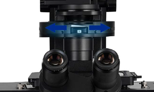 Microscope confocal à résonance avancé BestScope BCF296R pour la biologie cellulaire, le dépistage de médicaments et la recherche scientifique en biologie - Product Image 6