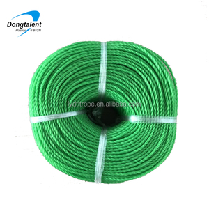 Cao Cấp <span class=keywords><strong>Polyethylene</strong></span> Mật Độ Cao Dây 3Mm 12Mm 3/4 Sợi Nylon Màu Xanh Lá Cây Monofilament <span class=keywords><strong>Twine</strong></span> Pe Cho Câu Cá - Product Image 1