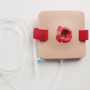 Module d'entraînement aux plaies simulées en PVC pour la formation des infirmières et les écoles, avec mannequins de pratique d'hémostase et de premiers secours - Product Image 2
