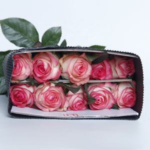 Arreglos Florales con Cabezas de Flores Grandes Blancas con Borde Rosa, Flores Frescas Cortadas para Decoración de Bodas - Product Image 4