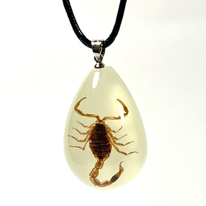 <span class=keywords><strong>Collana</strong></span> con Ciondolo Insetto Vero per Uomo, Campione di Insetto che si Illumina al Buio, Scorpione, Ragno, Scarabeo, <span class=keywords><strong>Coccinella</strong></span> in Resina d'Ambra - Product Image 4