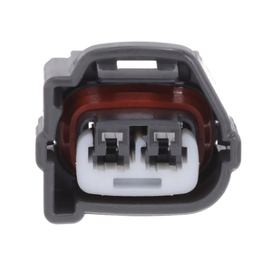 Conector de 2 pinos 90980-10899 CNCH Chicote de fios personalizado - Product Image 1