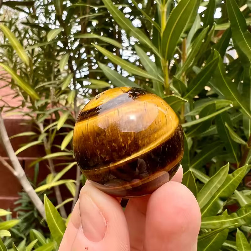 ลูกบอลไทเกอร์อายสีเหลือง