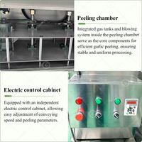 Éplucheuse automatique de peaux d'oignon, meilleure ligne de pelage pneumatique, machine à éplucher industrielle électrique, petit prix pour l'ail en vente