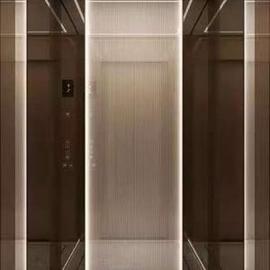 Ascensor Circular Hidráulico de Tamaño Personalizado, Adaptado para Personas con Discapacidad, para Residencias/Hoteles - Product Image 4