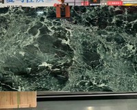 Dalles de marbre vert en pierre naturelle verte de luxe importées Verde Alpi Carreaux de marbre Table d'appoint Table basse