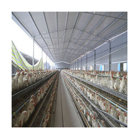 Ferme de volaille rwr, équipement de type h, couche de poulet, œuf pour bébé, cages en fer