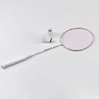 Raquette de badminton professionnelle Dmantis en fibre de carbone, légère, haute tension, pour l'entraînement, avec sac, pour club et utilisation en extérieur